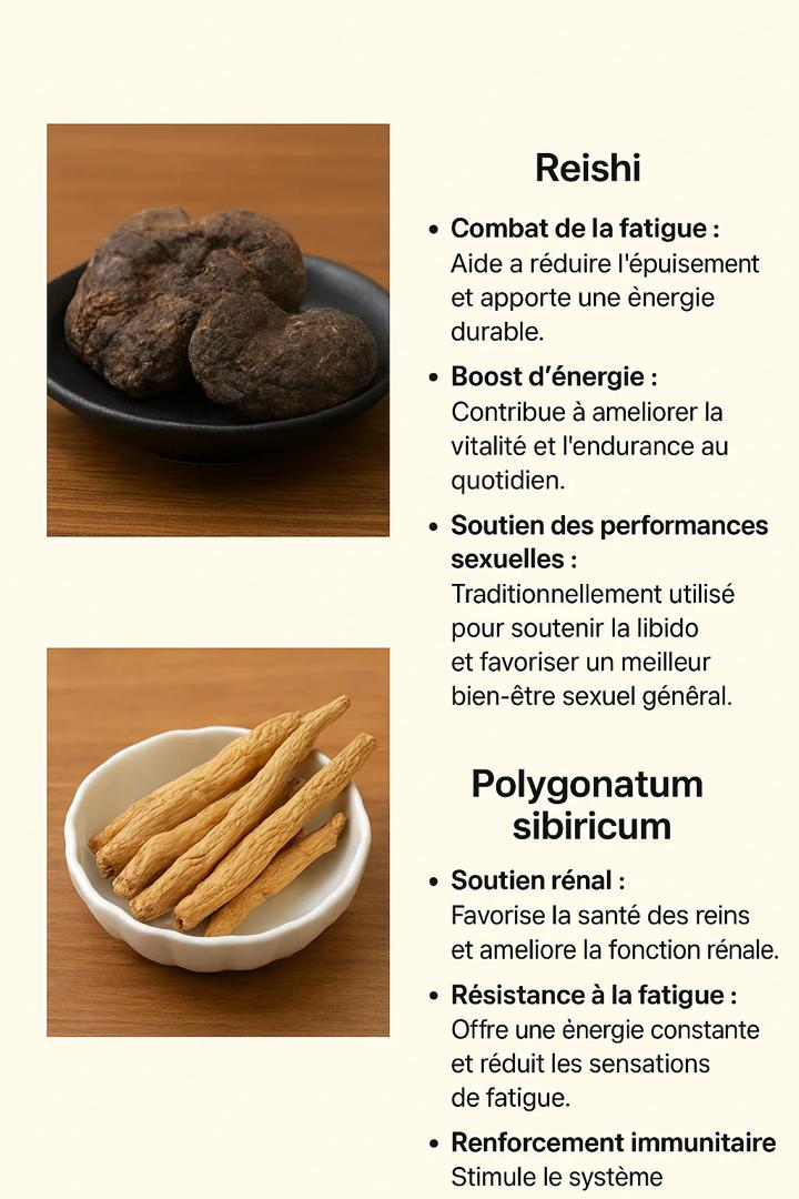 Thé Santé aux 5 Trésors – Vitalité et Énergie Masculine