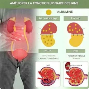 Thé Santé aux 5 Trésors – Vitalité et Énergie Masculine